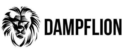 Dampflion/checkmate